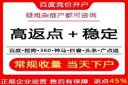 深度剖析：百度竞价推广代运营在某电商平台的成功实践